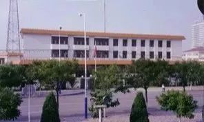 改革開放四十年,細數泰達大事件 啟航歲月