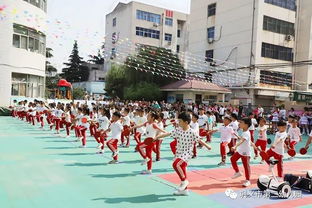 我園開展 愛在端午情滿二幼 大型公益親子游園體驗活動