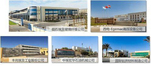 園區(qū)-企業(yè)合作新篇章 美的與泰達(dá)攜手推進(jìn)供應(yīng)鏈聯(lián)合招商計(jì)劃